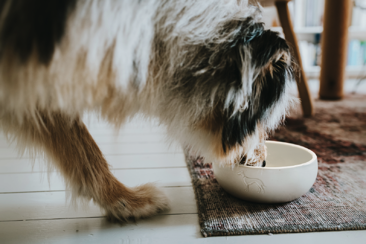 HUNTER Keramik-Napf Lund